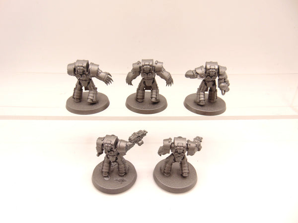 Cataphractii Terminator Squad