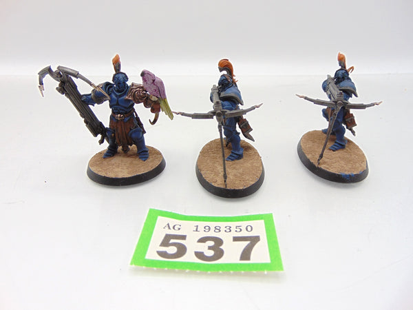 Vanguard Raptors