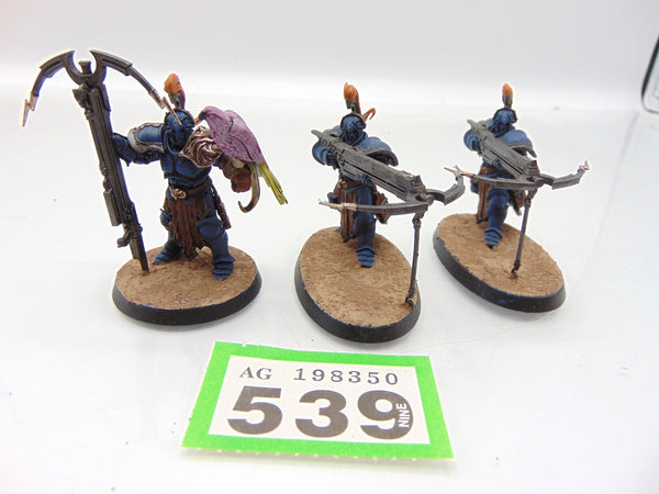 Vanguard Raptors