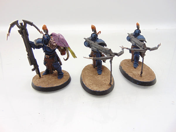Vanguard Raptors
