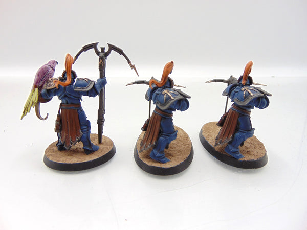 Vanguard Raptors