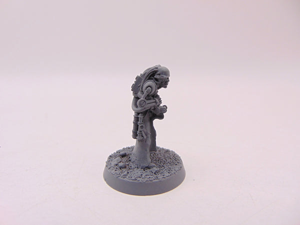 Autosavant Sage / Scribe