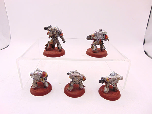 Purgation Squad