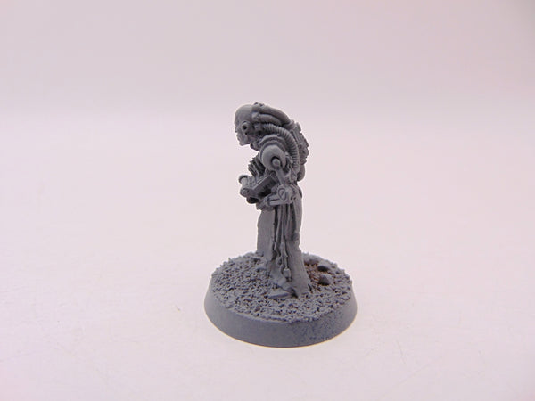 Autosavant Sage / Scribe