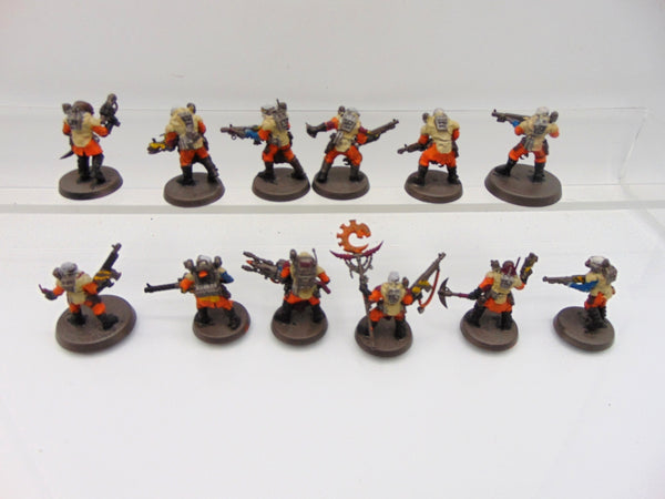 Neophyte Hybrids