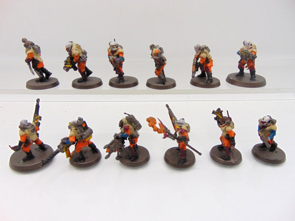 Neophyte Hybrids