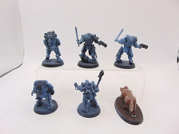 Kill Team: Wolf Scouts