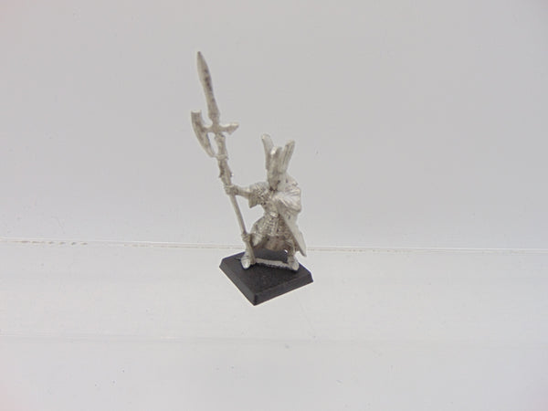 Phoenix Guard Champion