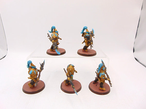 Custodian Guard