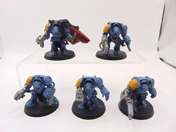 Wolf Guard Terminators