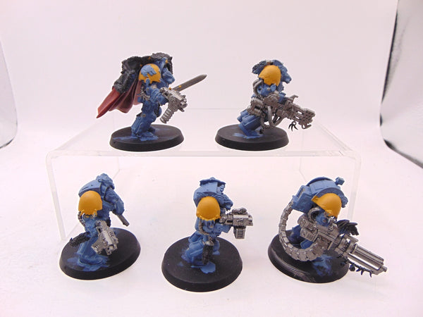 Wolf Guard Terminators