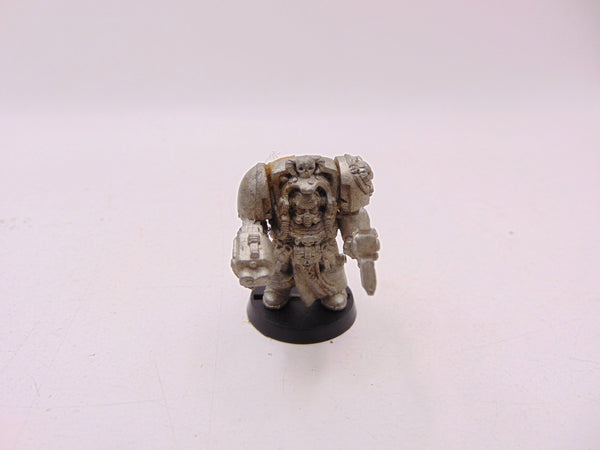 Terminator Librarian