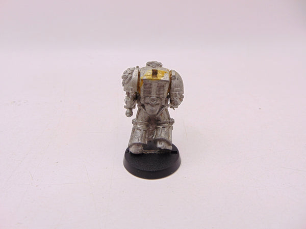 Terminator Librarian