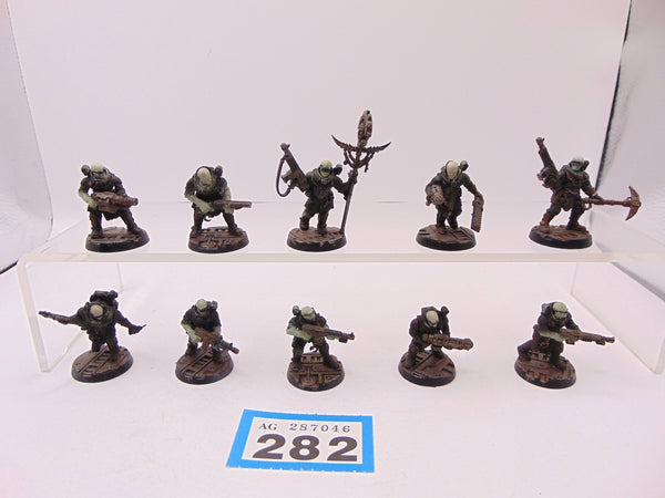 Neophyte Hybrids