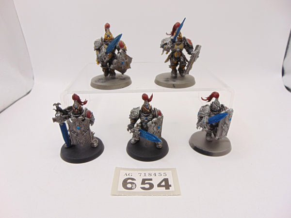 Custodian Guard