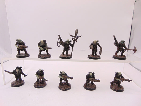 Neophyte Hybrids