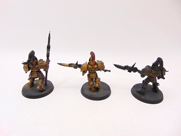 Custodian Guard