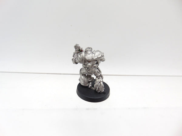 Nurgle Chaos Renegade Tentacle Arm and Skull Head