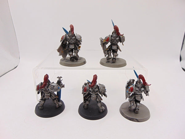 Custodian Guard