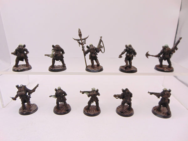 Neophyte Hybrids