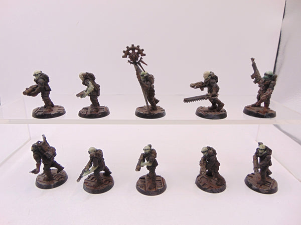Neophyte Hybrids