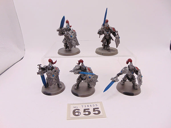 Custodian Guard