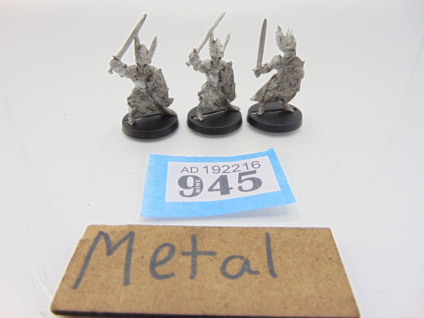 Swan Knights of Dol Amroth