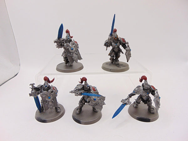 Custodian Guard