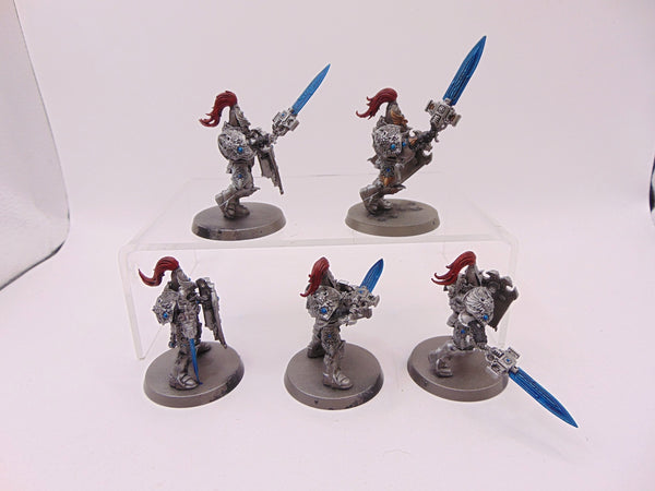 Custodian Guard
