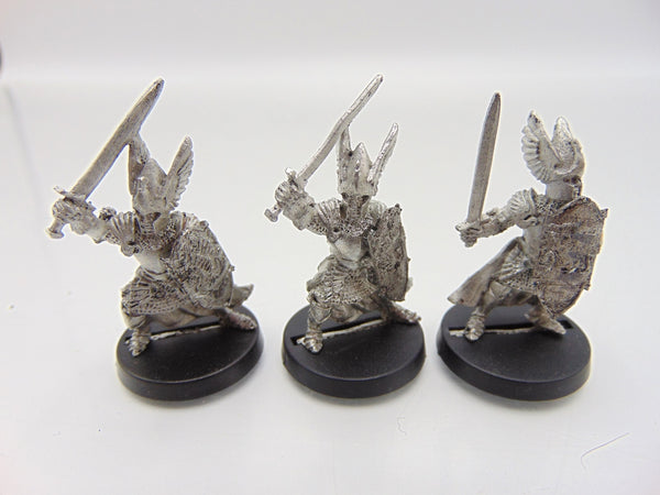 Swan Knights of Dol Amroth