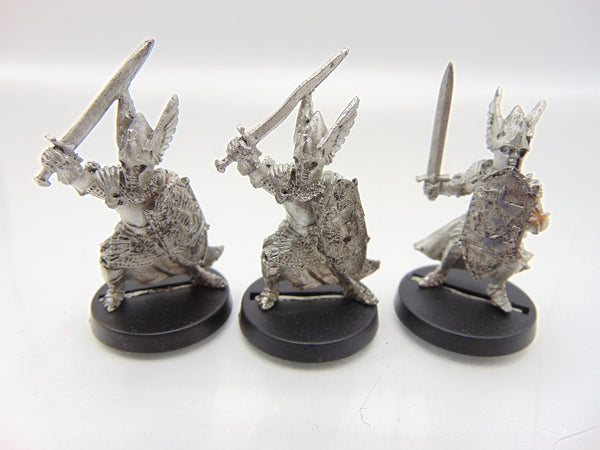 Swan Knights of Dol Amroth