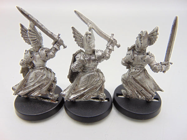 Swan Knights of Dol Amroth