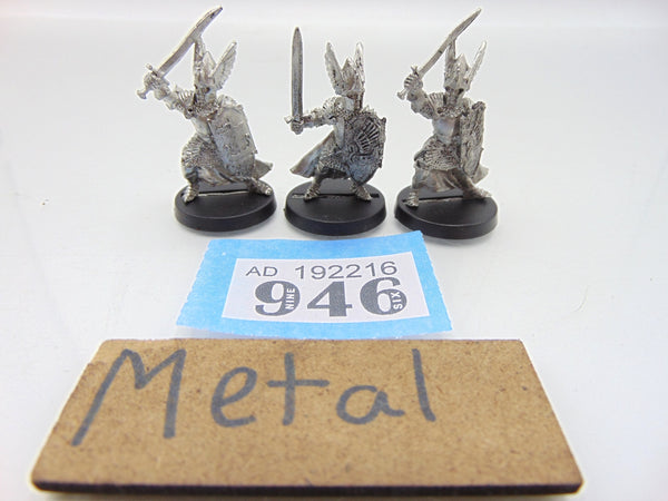 Swan Knights of Dol Amroth