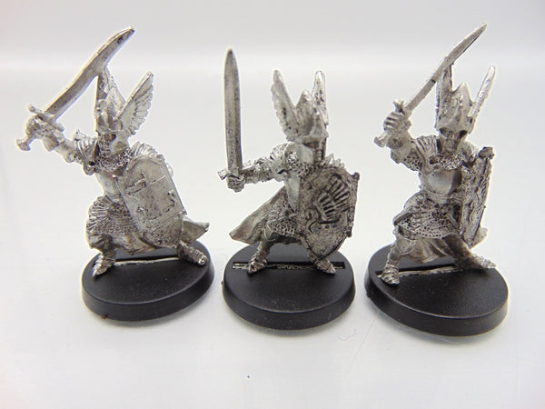 Swan Knights of Dol Amroth