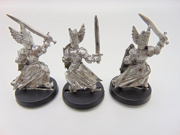 Swan Knights of Dol Amroth