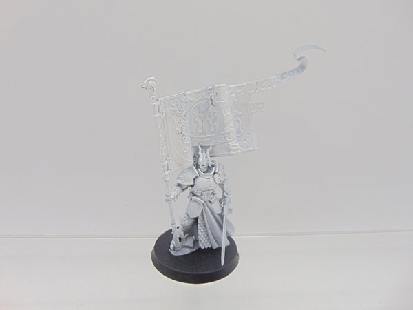 Knight Vexillor with Banner of Apotheosis