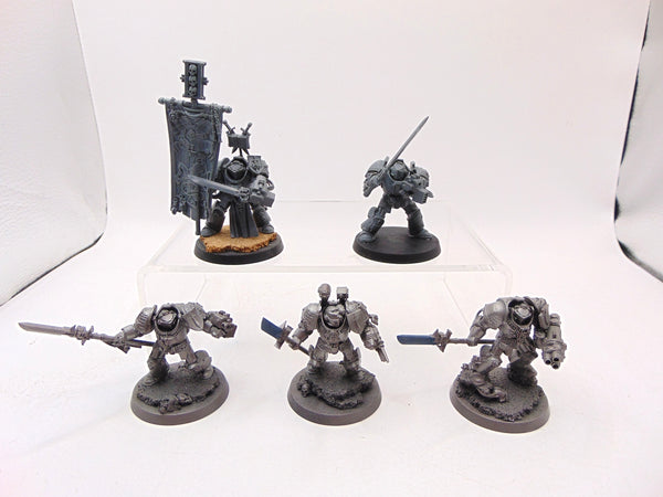 Brotherhood Terminator Squad