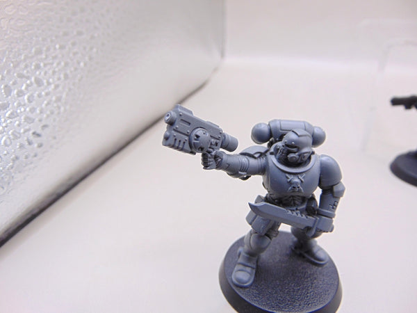 Reivers