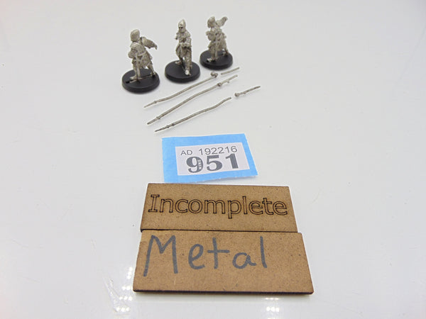 Men at Arms of Dol Amroth
