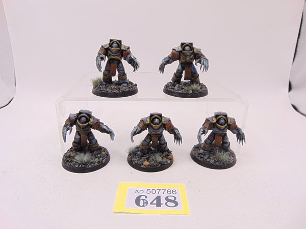 Cataphractii Terminator Squad
