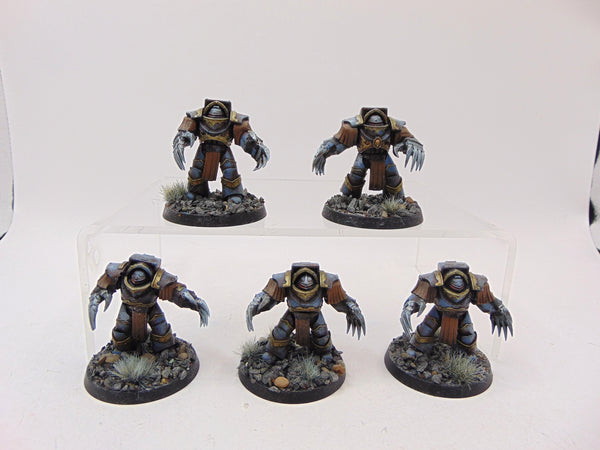 Cataphractii Terminator Squad