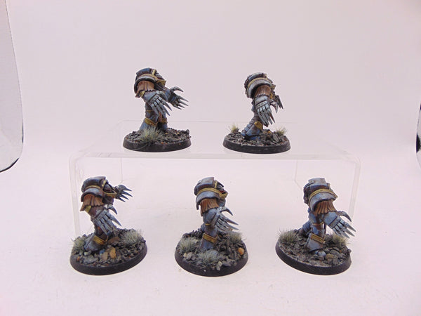 Cataphractii Terminator Squad