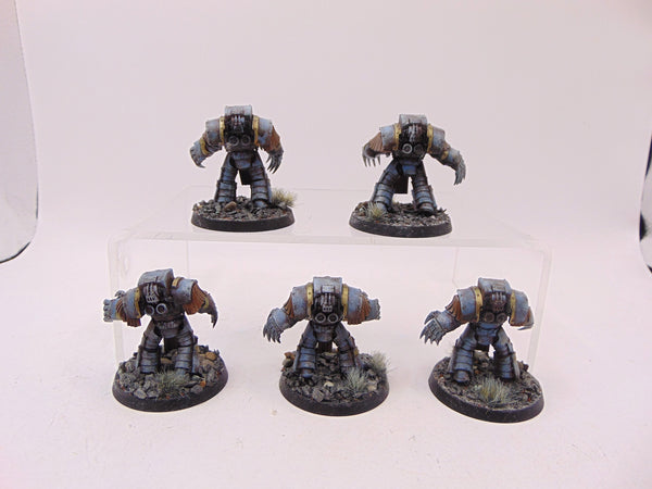 Cataphractii Terminator Squad