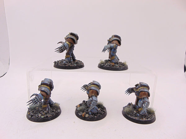 Cataphractii Terminator Squad