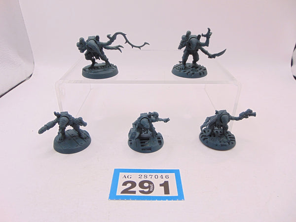 Acolyte Hybrids