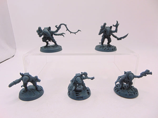 Acolyte Hybrids