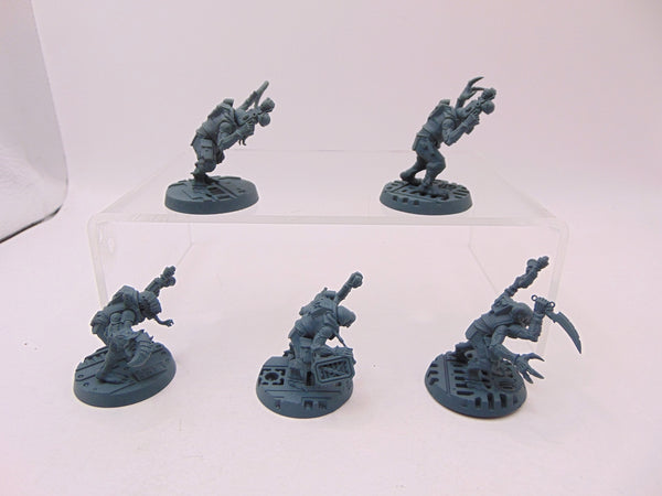 Acolyte Hybrids