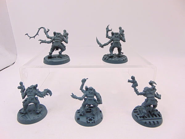 Acolyte Hybrids