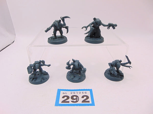 Acolyte Hybrids