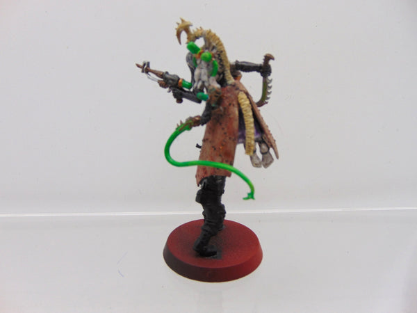 Haemonculus